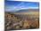 Great Basin Curvilinear Abstract-Style Petroglyphs, Bishop, California, Usa-Dennis Flaherty-Mounted Photographic Print