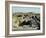 Great Bath of the Citadel from South, Indus Valley Civilization, Mohenjodaro, Sind (Sindh)-Ursula Gahwiler-Framed Photographic Print