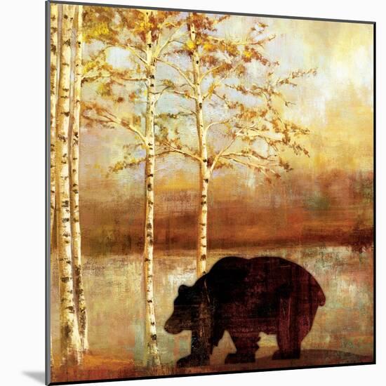 Great Bear-Andrew Michaels-Mounted Art Print