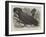 Great Black Cockatoo in the Zoological Society's Gardens-Thomas W. Wood-Framed Giclee Print