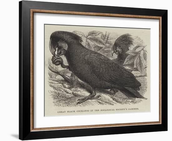 Great Black Cockatoo in the Zoological Society's Gardens-Thomas W. Wood-Framed Giclee Print