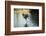 Great Black Hawk-Joe McDonald-Framed Photographic Print