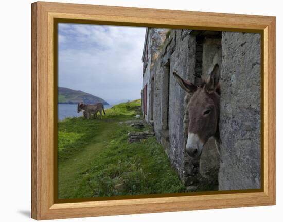 Great Blasket Island-null-Framed Premier Image Canvas