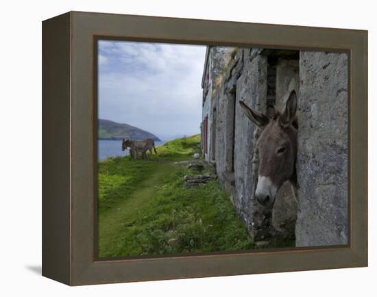 Great Blasket Island-null-Framed Premier Image Canvas