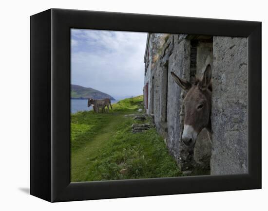 Great Blasket Island-null-Framed Premier Image Canvas