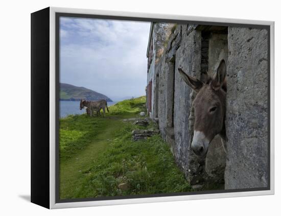 Great Blasket Island-null-Framed Premier Image Canvas