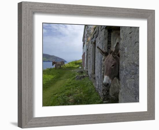 Great Blasket Island-null-Framed Photographic Print