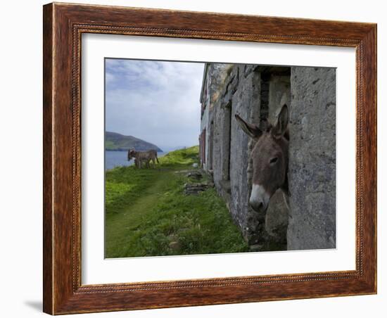 Great Blasket Island-null-Framed Photographic Print