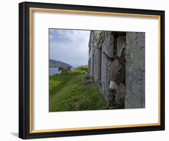 Great Blasket Island-null-Framed Photographic Print