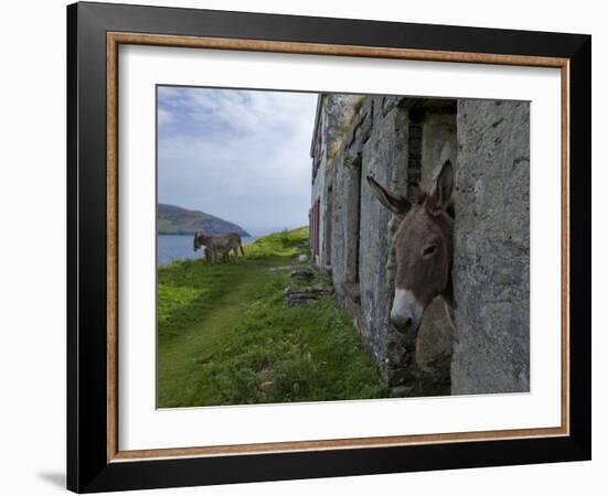 Great Blasket Island-null-Framed Photographic Print