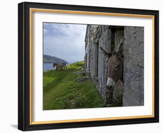 Great Blasket Island-null-Framed Photographic Print