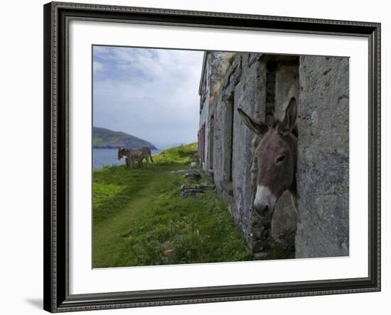 Great Blasket Island-null-Framed Photographic Print