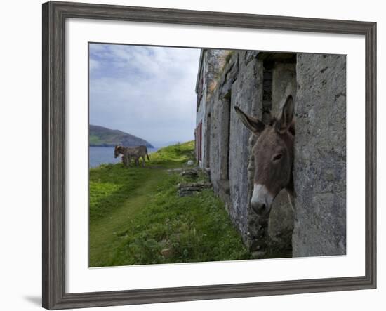 Great Blasket Island-null-Framed Photographic Print