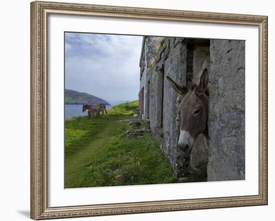 Great Blasket Island-null-Framed Photographic Print