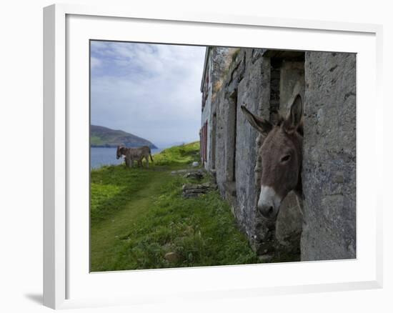 Great Blasket Island-null-Framed Photographic Print