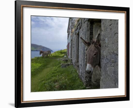 Great Blasket Island-null-Framed Photographic Print