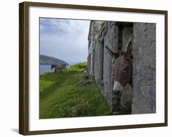 Great Blasket Island-null-Framed Photographic Print