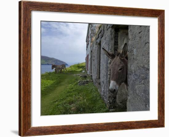 Great Blasket Island-null-Framed Photographic Print