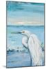 Great Blue Egret II-Patricia Pinto-Mounted Art Print