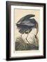 Great blue Heron, 1834-John James Audubon-Framed Giclee Print