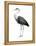 Great Blue Heron (Ardea Herodias), Birds-Encyclopaedia Britannica-Framed Stretched Canvas