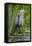 Great Blue Heron Bird, Juanita Bay Wetland, Washington, USA-Jamie & Judy Wild-Framed Premier Image Canvas