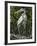 Great Blue Heron, Everglades National Park, Unesco World Heritage Site, Florida, USA-Ethel Davies-Framed Photographic Print