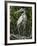 Great Blue Heron, Everglades National Park, Unesco World Heritage Site, Florida, USA-Ethel Davies-Framed Photographic Print