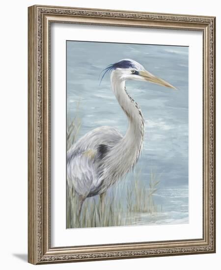 Great Blue Heron Gaze-Eva Watts-Framed Art Print