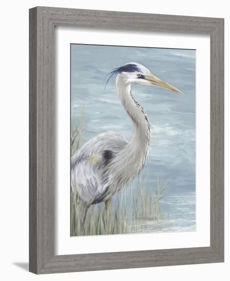 Great Blue Heron Gaze-Eva Watts-Framed Art Print