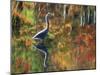 Great Blue Heron in Fall Reflection, Adirondacks, New York, USA-Nancy Rotenberg-Mounted Photographic Print