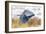 Great Blue Heron in Flight-Jason Savage-Framed Giclee Print