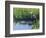 Great Blue Heron in Taylor Slough, Everglades, Florida, USA-Adam Jones-Framed Photographic Print