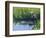 Great Blue Heron in Taylor Slough, Everglades, Florida, USA-Adam Jones-Framed Photographic Print