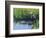 Great Blue Heron in Taylor Slough, Everglades, Florida, USA-Adam Jones-Framed Photographic Print