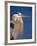 Great Blue Heron, Sanibel Island, Florida, USA-Charles Sleicher-Framed Photographic Print