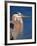 Great Blue Heron, Sanibel Island, Florida, USA-Charles Sleicher-Framed Photographic Print