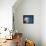 Great Blue Heron, Sanibel Island, Florida, USA-Charles Sleicher-Framed Premier Image Canvas displayed on a wall