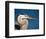 Great Blue Heron, Sanibel Island, Florida, USA-Charles Sleicher-Framed Photographic Print