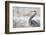 Great Blue Heron-Jason Savage-Framed Art Print