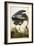 Great Blue Heron-John James Audubon-Framed Giclee Print