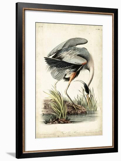 Great Blue Heron-John James Audubon-Framed Art Print