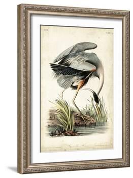 Great Blue Heron-John James Audubon-Framed Art Print