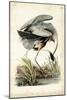 Great Blue Heron-John James Audubon-Mounted Art Print