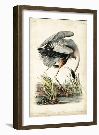 Great Blue Heron-John James Audubon-Framed Premium Giclee Print