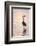 Great Blue Heron-Lynn M^ Stone-Framed Photographic Print