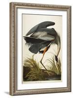 Great Blue Heron-John James Audubon-Framed Giclee Print