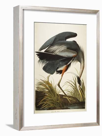 Great Blue Heron-John James Audubon-Framed Giclee Print