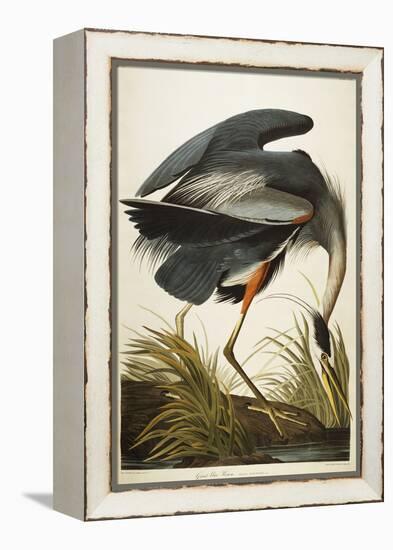 Great Blue Heron-John James Audubon-Framed Premier Image Canvas