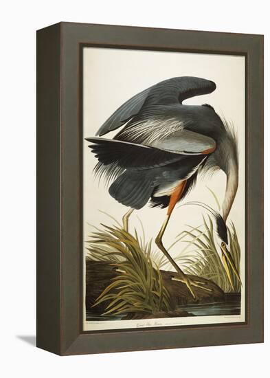 Great Blue Heron-John James Audubon-Framed Premier Image Canvas